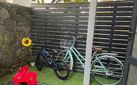 Auckland Cbd, Parnell Ensuite+Patio+Secluded Garage
